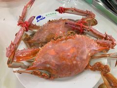 -春华海鲜城(广场西苑店)