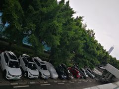 -深圳湾木棉花酒店
