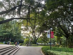 -晓港公园