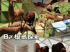 -上海自然博物馆