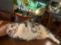 -咖法森林·咖啡  酒吧(天河店)