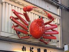 -蟹道乐(道顿堀本店)