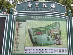 -荷兰花海