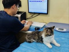 -美迦爱-牙专科·兔科·骨科诊疗中心(北苑店)