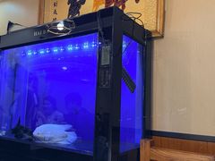 -万鑫鸡翅