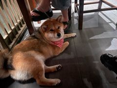 -百富源·海鲜辽菜(和平北大街店)