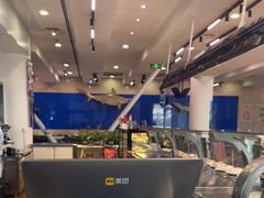 -贝林大翅鲸简餐厅(国家海洋博物馆店)