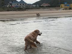 -嵊泗基湖沙滩