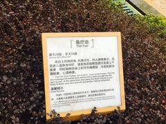 -凤翔首邑温泉度假村