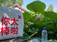 -红花点心局(大观园店)