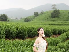 -帐篷客·溪龙茶谷度假酒店