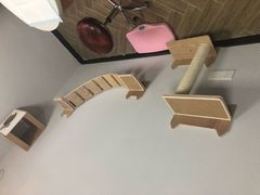 -联合动物医院(光谷诊疗中心)
