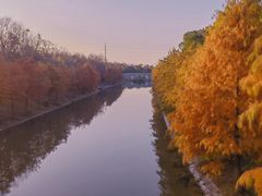 -上海海湾国家森林公园
