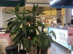 -MCJ-花店(西罗园店)