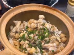 -红星光发煲仔饭(文海店)
