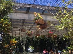 -The Grounds of Alexandria