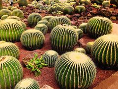 -南通洲际绿博园