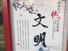 -紫荆山公园