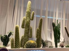 -悦海·家宴·冰花皮皮虾大锅贴(宝龙店)