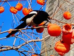 -东亿天弘演播大厅