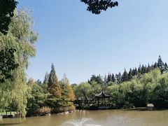 -瀛洲公园