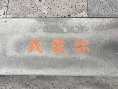-信不信由你博物馆