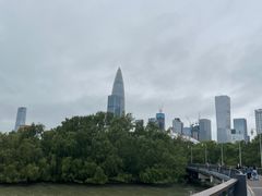 -深圳湾公园(南山区)