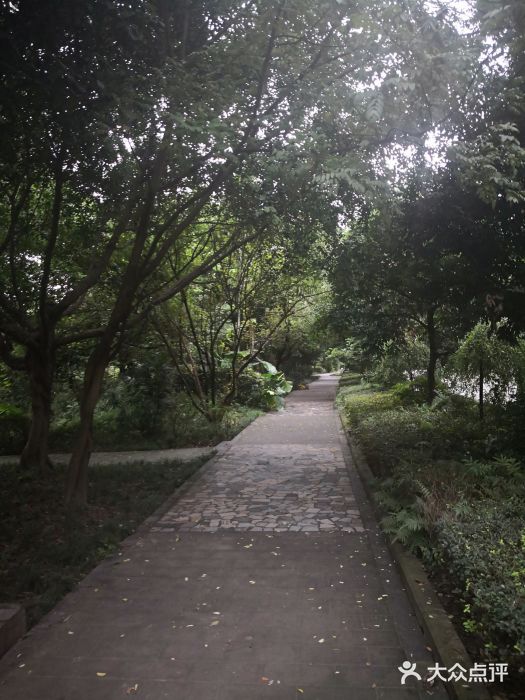 望江楼公园图片