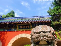 -灵谷景区