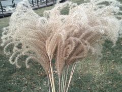 -北京宽沟会议中心