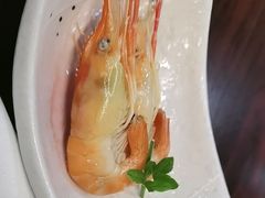 -黑松白鹿(金融街店)