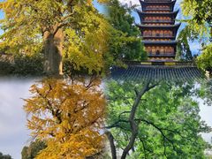 -常熟方塔园