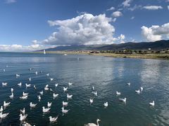 -青海湖国家重点风景名胜区