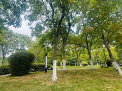 -汤山公园