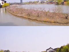 -乌镇景区