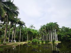 -中国科学院西双版纳热带植物园