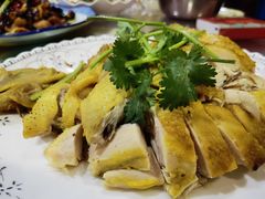 姜汁白切鸡-洪霞餐馆