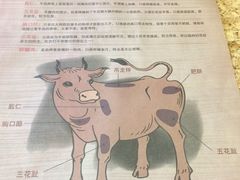 -潮汕牛肉火锅(铁西店)