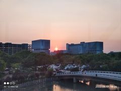 -上海中医药大学附属曙光医院(东部)