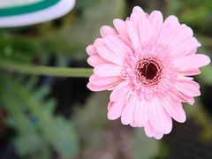 -长春农博园