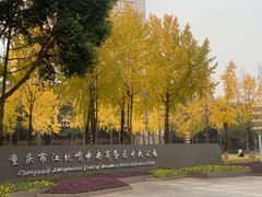 -重庆市江北嘴中央商务区中央公园