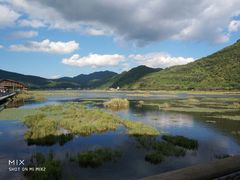 -腾冲北海湿地