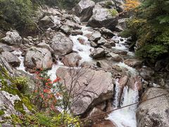 -青峰峡国家森林公园