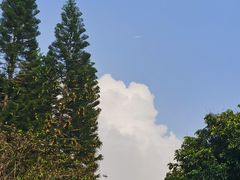 -荔香公园