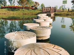 -官亭林海