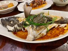 -蓬莱小馆 Joyful Restaurant