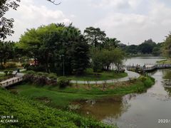 -东莞植物园