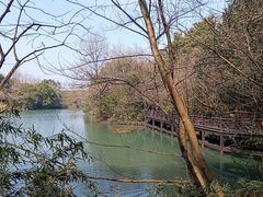 -白马涧龙池景区