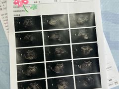 -美联众合动物医院·24h转诊中心