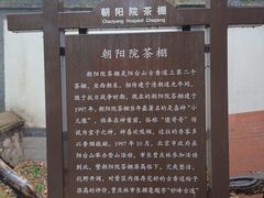 -阳台山自然风景区